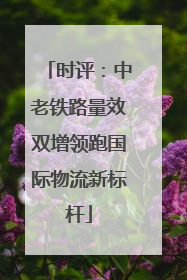 时评：中老铁路量效双增领跑国际物流新标杆