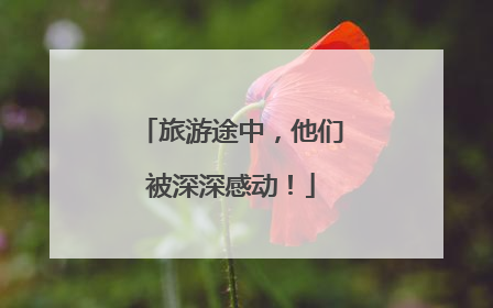 旅游途中，他们被深深感动！