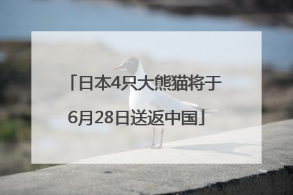 日本4只大熊猫将于6月28日送返中国