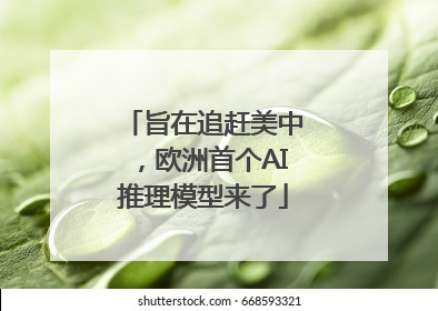 旨在追赶美中，欧洲首个AI推理模型来了