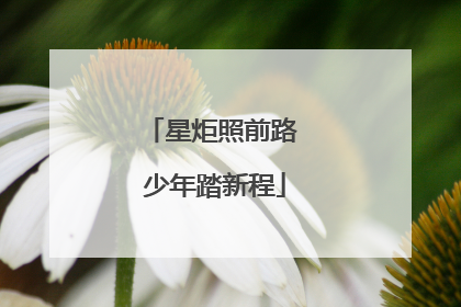 星炬照前路 少年踏新程