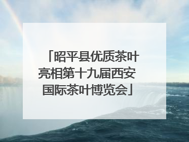 昭平县优质茶叶亮相第十九届西安国际茶叶博览会