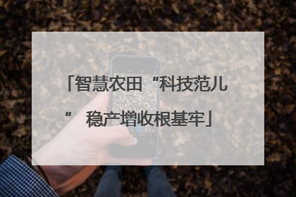 智慧农田“科技范儿” 稳产增收根基牢