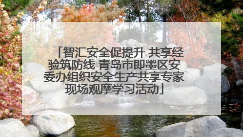 智汇安全促提升 共享经验筑防线 青岛市即墨区安委办组织安全生产共享专家现场观摩学习活动