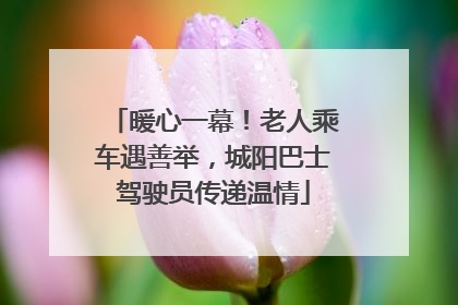 暖心一幕！老人乘车遇善举，城阳巴士驾驶员传递温情