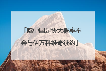 曝中国足协大概率不会与伊万科维奇续约