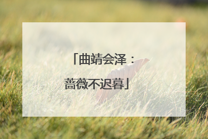 曲靖会泽：蔷薇不迟暮
