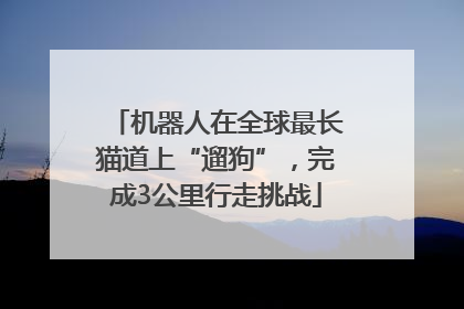 机器人在全球最长猫道上“遛狗”，完成3公里行走挑战