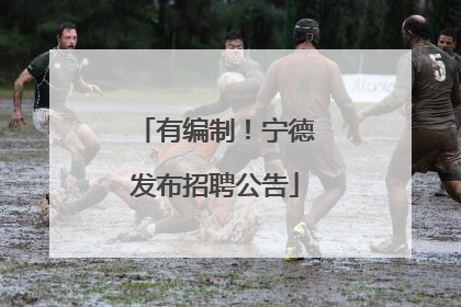 有编制！宁德发布招聘公告