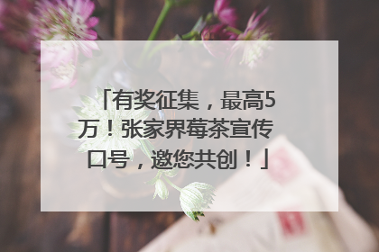 有奖征集，最高5万！张家界莓茶宣传口号，邀您共创！