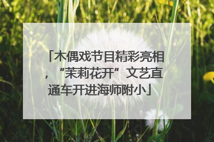 木偶戏节目精彩亮相，“茉莉花开”文艺直通车开进海师附小