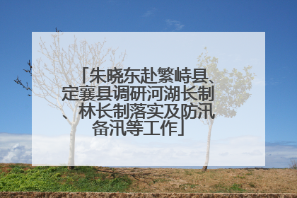 朱晓东赴繁峙县、定襄县调研河湖长制、林长制落实及防汛备汛等工作