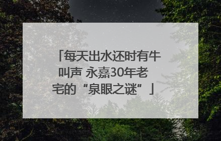 每天出水还时有牛叫声 永嘉30年老宅的“泉眼之谜”