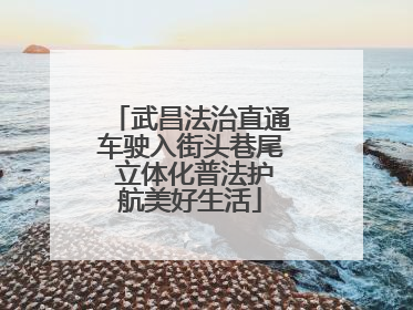 武昌法治直通车驶入街头巷尾 立体化普法护航美好生活