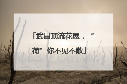 武昌顶流花展，“荷”你不见不散