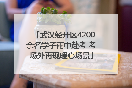 武汉经开区4200余名学子雨中赴考 考场外再现暖心场景