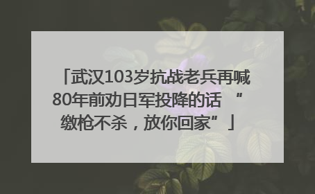 武汉103岁抗战老兵再喊80年前劝日军投降的话 “缴枪不杀，放你回家”