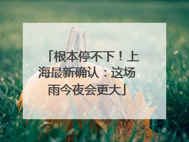 根本停不下！上海最新确认：这场雨今夜会更大