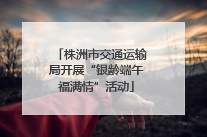 株洲市交通运输局开展“银龄端午福满情”活动