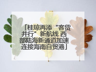 桂琼再添“客货并行”新航线 西部陆海新通道加速连接海南自贸港