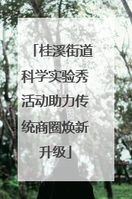 桂溪街道科学实验秀活动助力传统商圈焕新升级