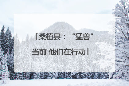 桑植县：“猛兽”当前 他们在行动