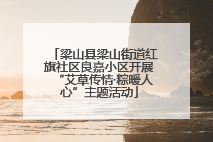 梁山县梁山街道红旗社区良嘉小区开展“艾草传情·粽暖人心”主题活动