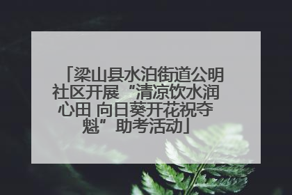 梁山县水泊街道公明社区开展“清凉饮水润心田 向日葵开花祝夺魁”助考活动