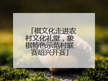 棋文化走进农村文化礼堂，象棋特色示范村联赛绍兴开赛