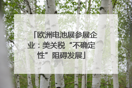 欧洲电池展参展企业：美关税“不确定性”阻碍发展