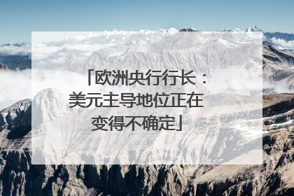 欧洲央行行长：美元主导地位正在变得不确定