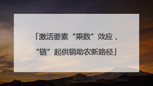激活要素“乘数”效应，“链”起供销助农新路径