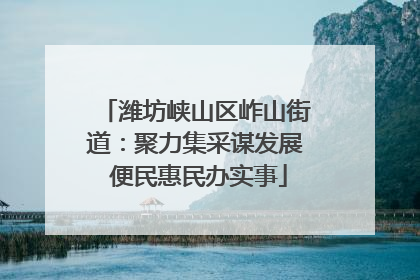 潍坊峡山区岞山街道：聚力集采谋发展 便民惠民办实事