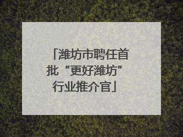 潍坊市聘任首批“更好潍坊”行业推介官