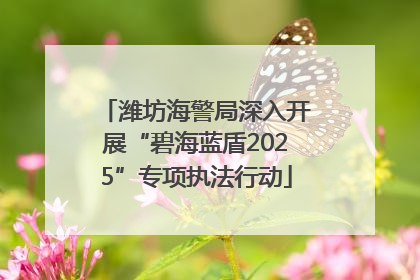 潍坊海警局深入开展“碧海蓝盾2025”专项执法行动