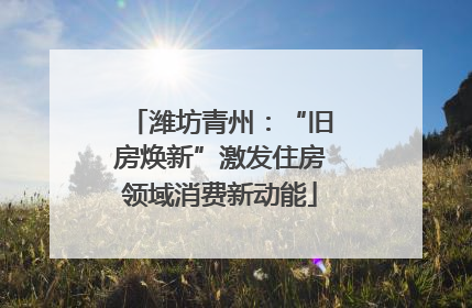 潍坊青州：“旧房焕新”激发住房领域消费新动能