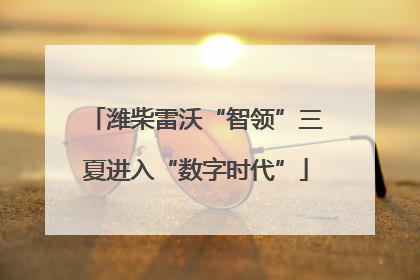 潍柴雷沃“智领”三夏进入“数字时代”