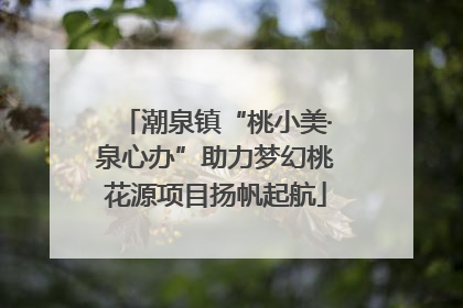 潮泉镇“桃小美·泉心办”助力梦幻桃花源项目扬帆起航
