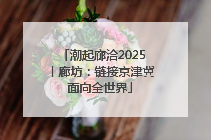 潮起廊洽2025丨廊坊：链接京津冀 面向全世界