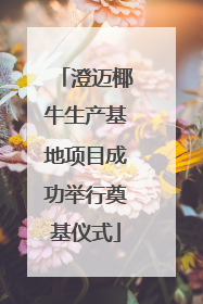澄迈椰牛生产基地项目成功举行奠基仪式