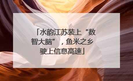 水韵江苏装上“数智大脑”，鱼米之乡驶上信息高速
