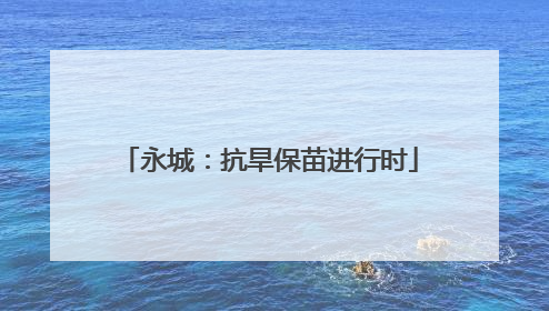 永城：抗旱保苗进行时