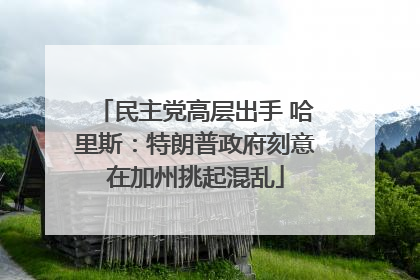 民主党高层出手 哈里斯：特朗普政府刻意在加州挑起混乱