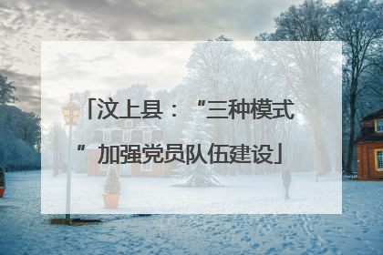 汶上县：“三种模式”加强党员队伍建设