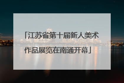 江苏省第十届新人美术作品展览在南通开幕