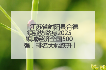 江苏省射阳县合德镇强势跻身2025镇域经济全国500强，排名大幅跃升