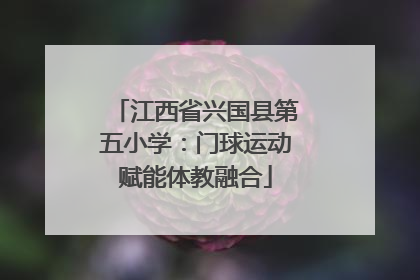 江西省兴国县第五小学：门球运动赋能体教融合