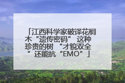 江西科学家破译花榈木“遗传密码” 这种珍贵的树 “才貌双全”还能抗“EMO”