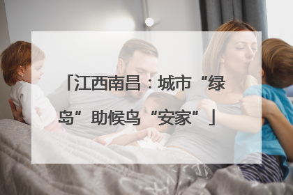 江西南昌：城市“绿岛”助候鸟“安家”