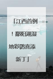 江西首例！鄱阳湖湿地彩鹮喜添新丁